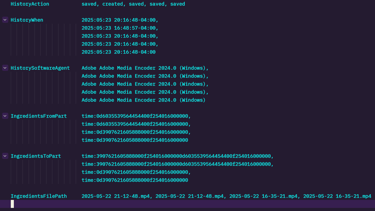 /img/2025/epstein-video-metadata.png /img/2025/epstein-video-metadata.png